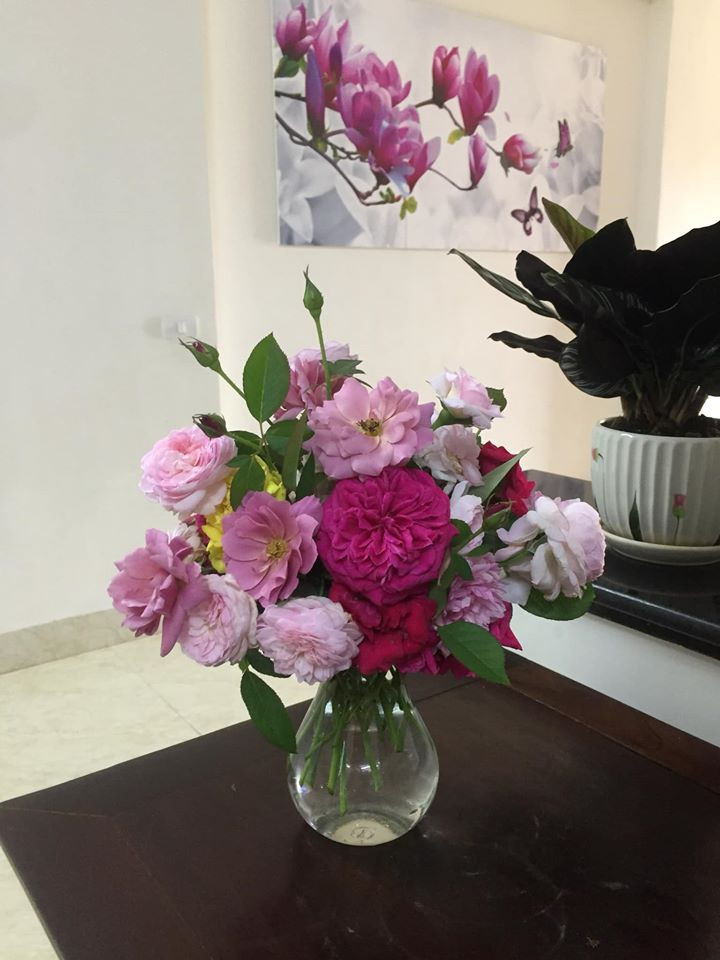 Chị Tú Lâm còn khéo léo trang trí trong ngôi nhà nhỏ bằng những lọ hoa hồng thơm ngát do chị tự tay cắm từ hoa cắt trong vườn nhà.