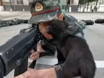 Không rõ những binh lính trong video này có phải lính bắn tỉa của Trung Quốc hay không, tuy nhiên kỹ năng "nằm im, thở khẽ" của họ chắc hẳn phải rất nhuần nhuyễn mới có thể giữ bình tĩnh được trong hoàn cảnh oái oăm này. Nguồn ảnh: QQ.