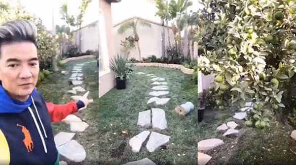 Biet thu cuc sang, van nguoi phat ghen cua Mr. Dam o My-Hinh-8