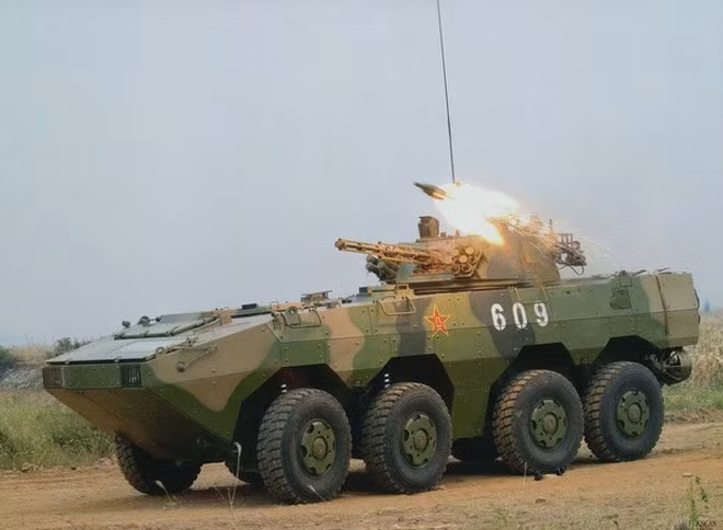 Thông số kỹ thuật cơ bản của ZBL-09/VN1: Trọng lượng 20 tấn; chiều dài ~8 m; chiều rộng ~3 m; chiều cao 2,1 m; kíp điều khiển 3 người và chở theo được 10 lính bộ binh với trang bị đầy đủ.