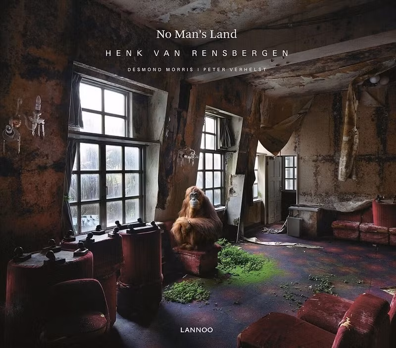 Mới đây, nhiếp ảnh gia người Bỉ, Henk Van Rensbergen đã phát hành một bộ ảnh được gọi là "Chỗ không người". Toàn bộ loạt hình ảnh ghi lại cảnh các loài động vật hoang dã chiếm dụng những kiến trúc hoành tráng của con người sau khi con người biến mất khỏi thế giới. (Nguồn Sina)