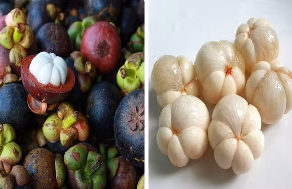 Ăn măng cụt cả hạt, coi chừng "thần chết" cận kề An mang cut ca hat, coi chung "than chet" can ke