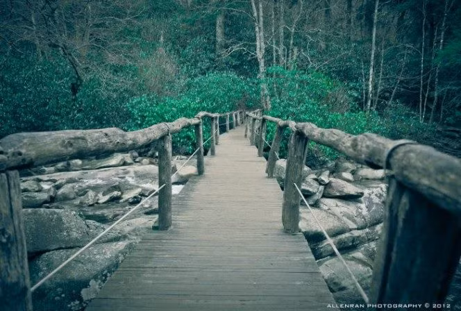 Cũng có nhiều tin đồn rằng các bóng ma thường xuất hiện và đi lại xuyên qua các ngôi nhà. Thế nhưng chưa một máy ảnh hay video nào ghi lại được những cảnh tượng đó. (Nguồn Boredomtherapy)