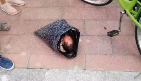 Me dong goi con so sinh, chuyen phat nhanh den...trai mo coi-Hinh-2