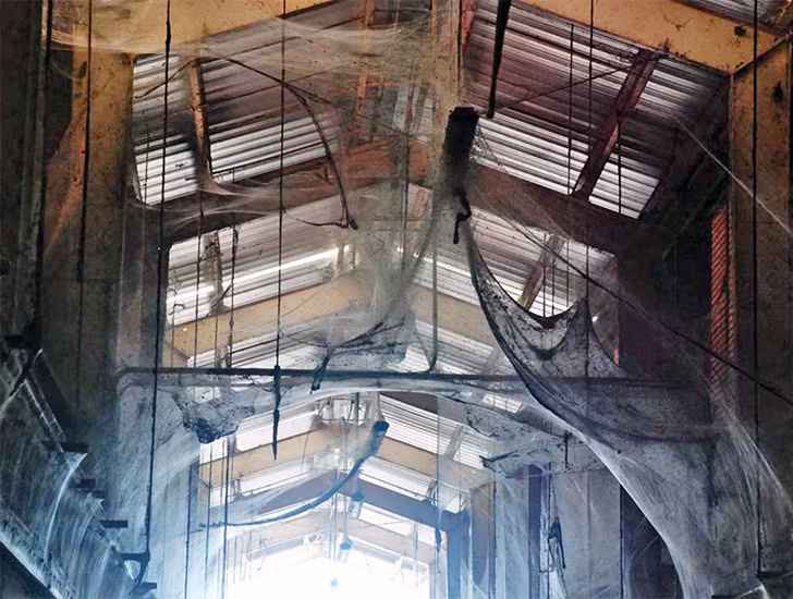 Kinh hoang hang o cua 107 trieu con nhen an nau