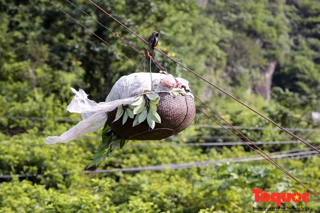 Hình ảnh những chiếc sọt na Chi Lăng "bay" từ trên cao xuống khiến nhiều người mới đặt chân tới đây cảm thấy thú vị và hiếu kì. Phóng viên đã có cơ hội được theo chân chị Sơn là một chủ hộ trồng na lâu năm tại Chi Lăng dẫn đường vào sâu bên trong thung lũng na của vùng.