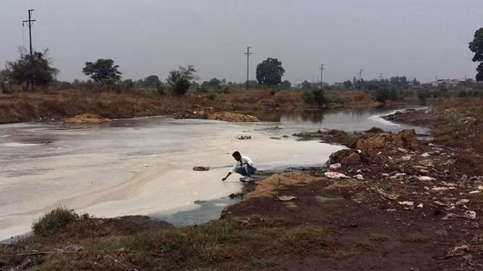 Sau khi nhận được báo cáo, Ban kiểm soát ô nhiễm Maharashtra MPCB đã tiến hành điều tra toàn bộ khu vực. Sau đó, đại diện của MPCB cho biết: "Khu vực này từ lâu đã được cô lập, nhưng có vài con chó hoang vẫn lẻn vào khu vực để tìm kiếm thức ăn và bị nhuộm xanh như thế". Người này cũng đưa ra cảnh báo đối với những ông chủ của các nhà máy, xí nghiệp phải canh giữ nghiêm ngặt, không để cho bất cứ động vật nào lẻn vào, tránh để xảy ra sự cố tương tự. Trong ảnh là một phần sông bị ô nhiễm cục bộ. (Nguồn Sina)