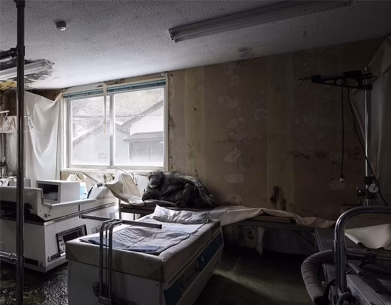 Được biết, ngoài việc là một nhiếp ảnh gia, Henk còn là một phi công gạo cội. Anh thường đi khám phá những nơi mới mẻ, đặc biệt là các công trình kiến trúc bị bỏ hoang. (Nguồn Sina)