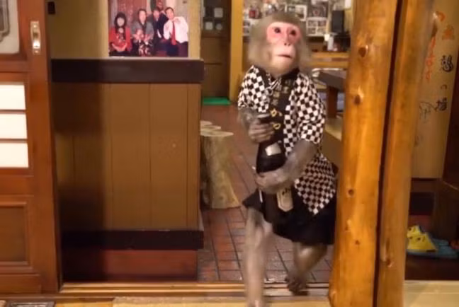 "Tôi không thể rời xa chúng được vì chúng quá dễ thương ", anh nói.