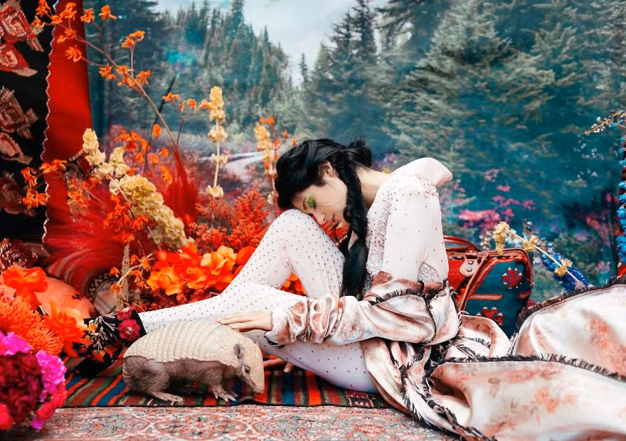 Frank the Tank là một động vật thuộc loài thú có mai, 4 tuổi. Nó rất thích ăn những loại côn trùng giòn và lăn lộn trong những đống cát lớn. (Nguồn Bored Panda)