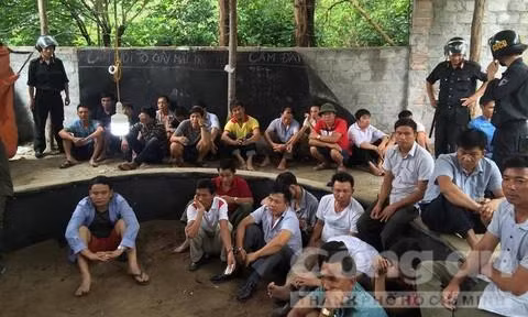 Pha soi ga 'khung' duoi chan nui Hong Linh-Hinh-3