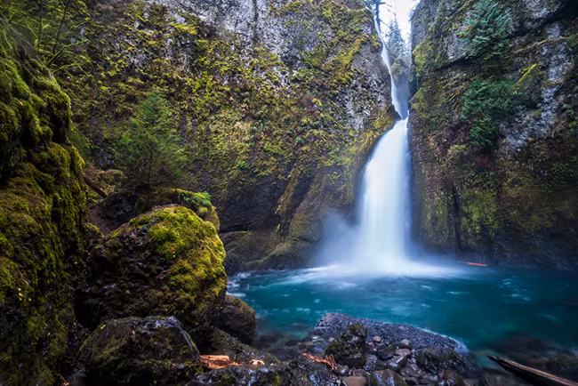 11. Hẻm Núi Oneonta ở Oregon: Hẻm Núi Oneonta là nơi có bộ sưu tập thực vật thủy sinh và rừng cây rất độc đáo - một số trong đó sẽ không tìm thấy ở bất cứ nơi nào khác ở Hoa Kỳ. Bao phủ lên dãy núi là các cây dương xỉ và rêu khiến cho hẻm núi mang vẻ đẹp tự nhiên thanh bình.