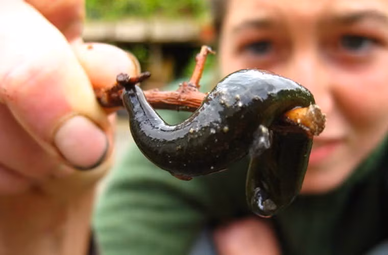 Be 8 tuoi tam song ve, chay mau khong ngung va su that kinh hoang-Hinh-2