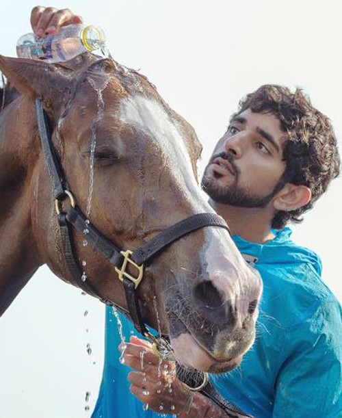 Không chỉ vượt trội về ngoại hình, vị con vua Dubai này còn rất có năng khiếu với các môn thể thao. Hoàng tử Hamdan có sở thích cưỡi ngựa từ nhỏ và chàng hoàng tử đẹp trai từng đại diện cho Dubai tham gia các cuộc thi đua ngựa và giành được nhiều giải thưởng, trong đó có huy chương vàng tại Thế vận hội cưỡi ngựa được tổ chức ở Pháp năm 2014.