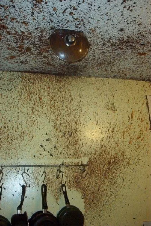 Còn đây... chỉ một bức ảnh chụp khung cảnh khu bếp đã đủ nói lên một thảm họa kinh hoàng trong nấu nướng. Sự vụng về đôi khi còn gây nguy hiểm cho chính các cô gái trẻ khi trong bếp luôn có rất nhiều vật liệu dễ cháy, nổ. Ảnh trong bài: Tổng hợp từ Internet.