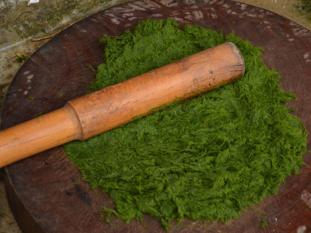 Rêu đá sau khi hái có thể bảo quản tươi được 2-3 ngày. Ảnh: thanhnien.