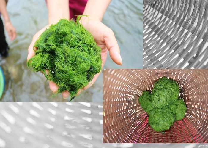 Rêu nướng (tau pho) được xem là thơm ngon nhất trong các món ngon từ rêu dá. Ảnh: dulichvietnam.