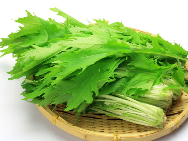 Không chỉ là một nguồn thực phẩm giàu magiê, canxi và axit folic, rau mù tạt còn chứa rất nhiều vitamin K. 100g rau mù tạt chứa 257,5 mcg vitamin K.