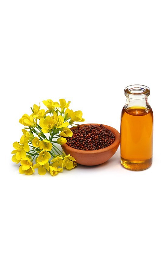 Đặc biệt, dầu mù tạt giàu diacylglycerol có tác dụng giảm mỡ thừa rất tốt, nên có lợi cho những người đang muốn giảm cân. Ảnh: wp.