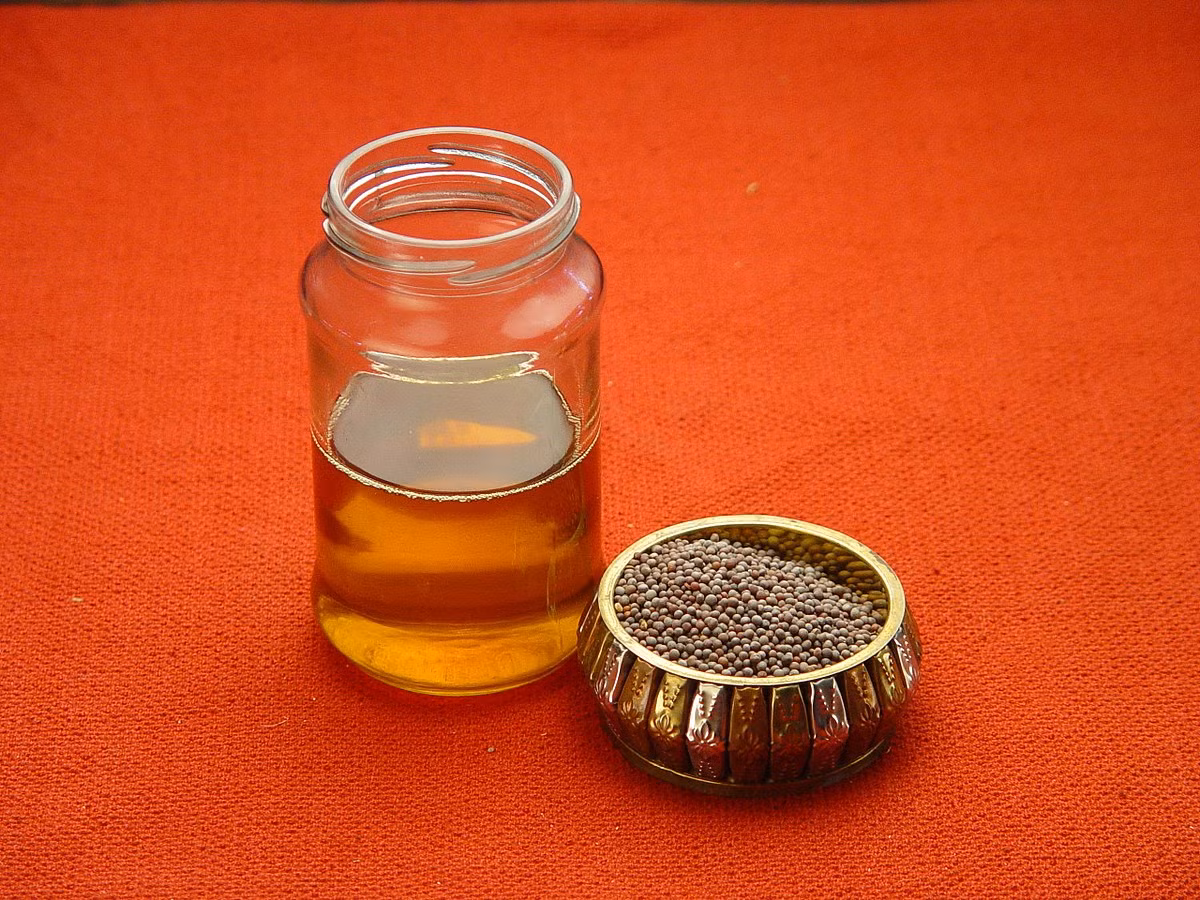 Một nghiên cứu cho thấy, dầu mù tạt có chứa axit béo không bão hòa đa omega-3 giúp giảm ung thư ruột kết ở động vật so với dầu cá hoặc dầu ngô trong chế độ ăn kiêng. Ảnh: wikimedia.