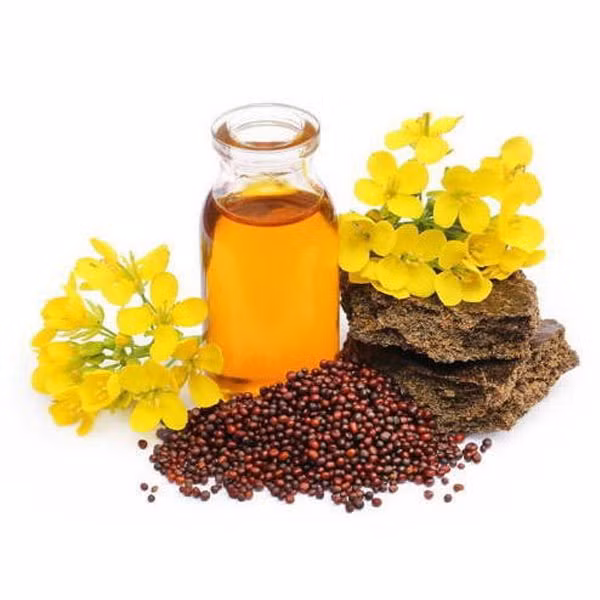 Một trong những lợi ích đầu tiên của việc sử dụng dầu mù tạt để nấu ăn đó chính là tác dụng làm giảm nguy cơ mắc bệnh tim. Ảnh: naturesrewards.