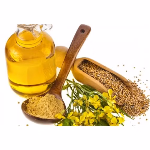 Do đó, nấu ăn bằng dầu mù tạt còn có thể giúp ức chế ung thư bàng quang. Ảnh: jivabhumi.