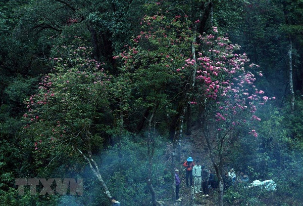 Ve dep tren dinh Bach Moc Luong Tu giua nui rung Tay Bac-Hinh-8