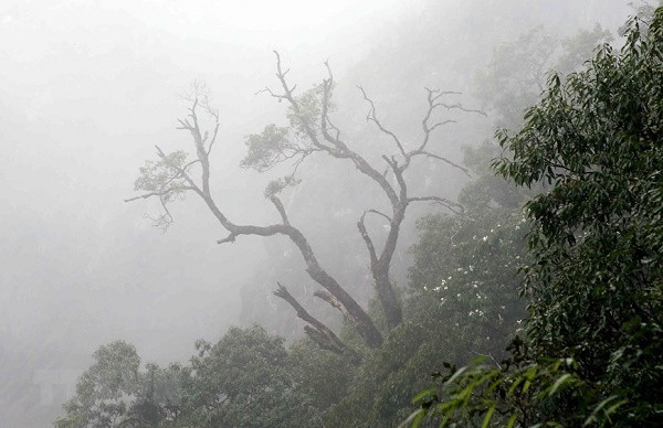 Ve dep tren dinh Bach Moc Luong Tu giua nui rung Tay Bac-Hinh-7