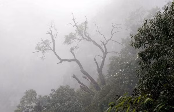 Ve dep tren dinh Bach Moc Luong Tu giua nui rung Tay Bac-Hinh-7