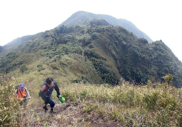 Ve dep tren dinh Bach Moc Luong Tu giua nui rung Tay Bac-Hinh-3