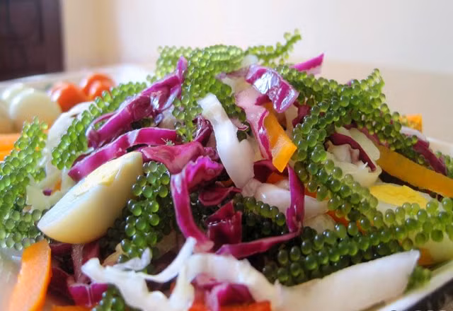 Salad rong biển. Món ăn này cũng có nhiều thành phần rau củ tốt cho bệnh nhân ung thư như cà tím, hành tím. Hai loại củ quả này đều có nhiều chất xơ và chất chống ô xy hóa, hiệu quả trong việc chống lại cảm lạnh thông thường và sốt, đặc biệt ngăn ngừa ung thư.