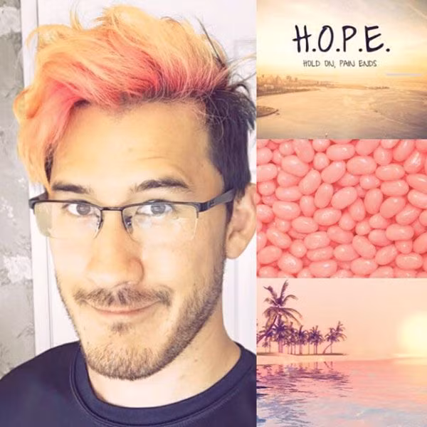 Anh chàng này hoàn toàn chiếm được cảnh hoàng hôn tuyệt đẹp trên bãi biển với bờm tóc ngắn của mình.