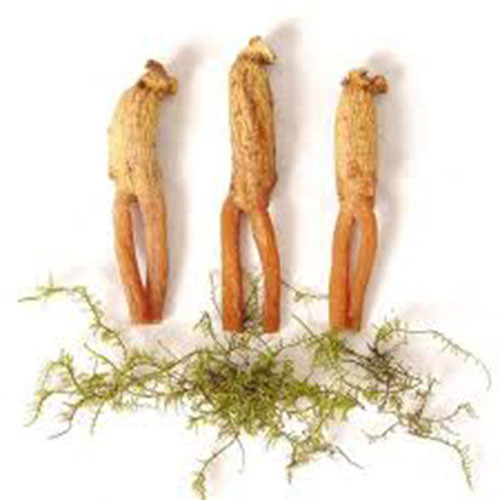 Nếu là nhân sâm củ thì chỉ nên dùng 200mg (0,01gr). Nếu là rễ nhân sâm tươi hoặc khô thì chỉ dùng từ 0,5-2gr một ngày.