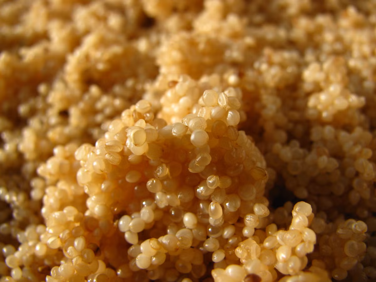 Amaranth. Thực phẩm chủ yếu của người Aztec,hạt giống cây rau dền này rất giầu axit amin thiết yếu, đặc biệt là lysine mà hầu hết các loại ngũ cốc không có. Nó cũng nhiều canxi, magie, kali, phốt pho và sắt.