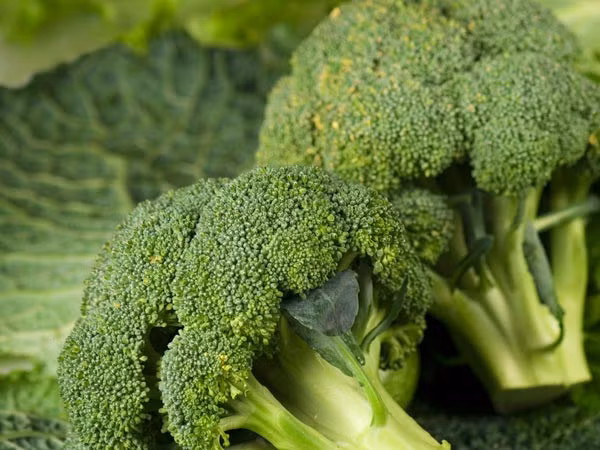 Các loại rau họ cải như bông cải xanh, rau bina, cải xoăn đều chứa nhóm FODMAPs, mặc dù rất giàu vitamin K, canxi và sắt.