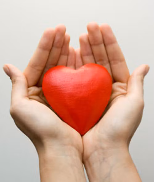 1 năm sau. Sau 1 năm cai thuốc, nguy cơ bị bệnh tim giảm tới 50% so với thời gian bạn hút thuốc.