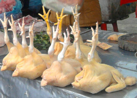 Thịt gia cầm nên chọn loại thịt có màu sắc tự nhiên, trắng ngà đến vàng tươi. Thịt gia cầm hỏng thường có màu vàng thẫm, vàng tím hoặc tối sẫm.