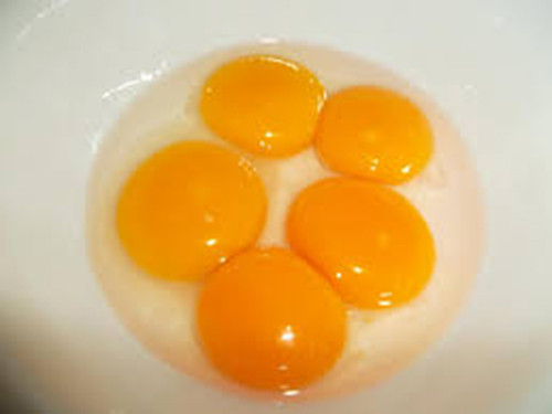 Lòng đỏ dày. Lòng đỏ từ một quả trứng gà mới đẻ, tươi ngon có vẻ mập và tròn hơn. Điều này có nghĩa là trứng gà nhiều dinh dưỡng.