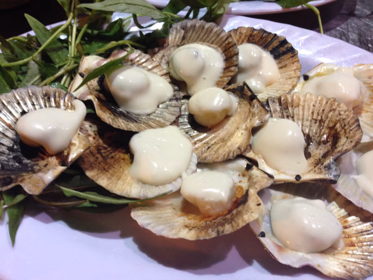 Ngoài ra, còn có nhiều món ốc với các cách chế biến khác như ốc dừa xào bơ, sò điệp nướng phô mai, ốc hương xào me… Trong ảnh là món sò điệp nướng phô mai được nhiều người ưa thích. 