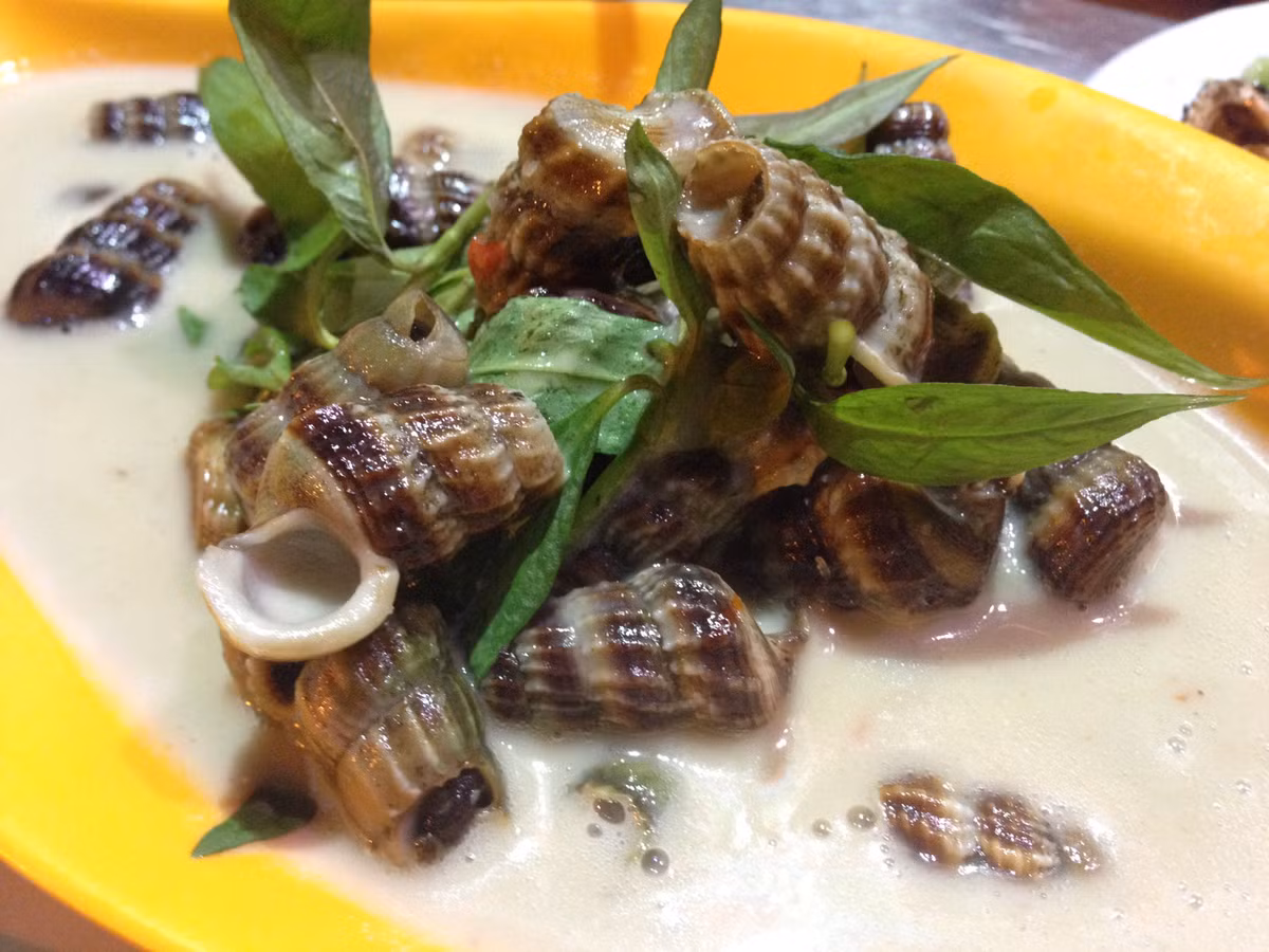 Sự kết hợp giữa ốc len và nước cốt dừa tạo nên vị bùi béo, thơm ngon đặc trưng của món ốc len xào dừa. 