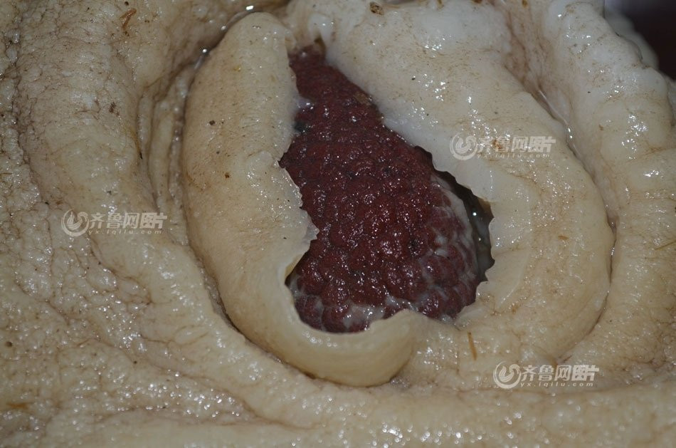 Do vậy, ông Li đã mang xác sinh vật lạ bị cháy xém trên về nhà và bảo quản trong tủ đông lạnh.