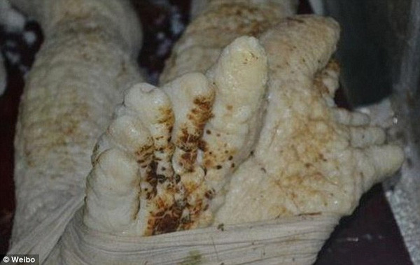 Theo người đàn ông họ Li, xác chết sinh vật trên được cho là thi thể của người ngoài hành tinh.