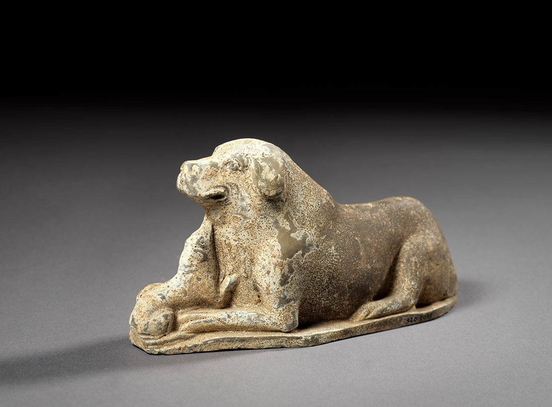 Điều này khiến một số chuyên gia đưa ra quan điểm khác cho rằng những con chó nhỏ trên được giới thượng lưu thời nhà Thương nuôi với mục đích làm vật hiến tế chứ không phải thú cưng của chủ nhân.