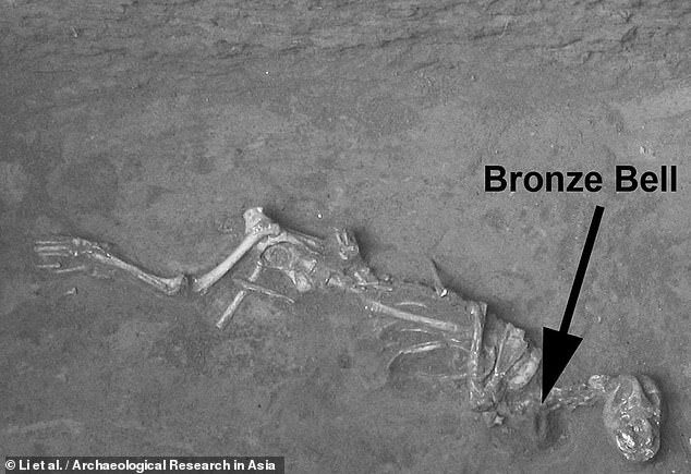 Theo các chuyên gia, những con chó này nhiều khả năng bị trói và chôn sống.