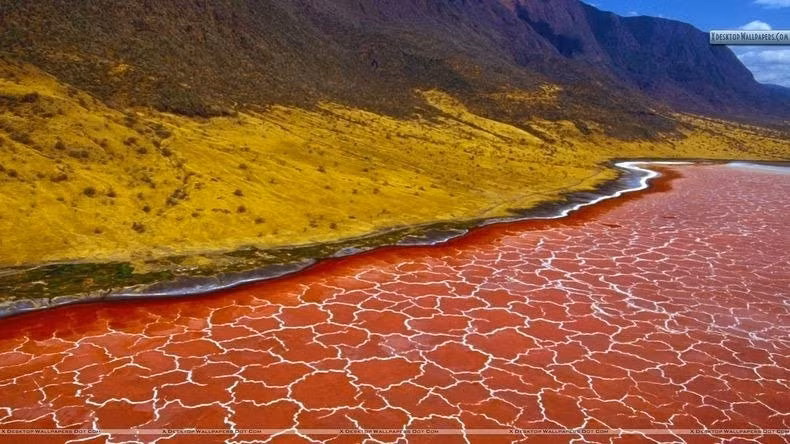 Khu vực xung quanh hồ Natron có nhiệt độ cao, đất đai khô cằn, thời tiết nóng bức và nhiều bụi. Do vậy, đặt chân đến địa điểm này là một thử thách nguy hiểm đối với con người.