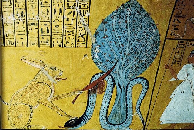 Kết quả kiểm tra cho thấy chất độc của loài rắn này ít gây đau đớn nhất cho nạn nhân trong số tất cả các chất độc chết người.