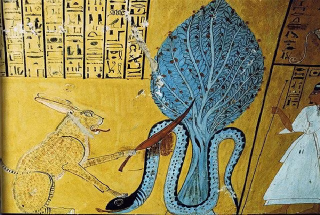 Kết quả kiểm tra cho thấy chất độc của loài rắn này ít gây đau đớn nhất cho nạn nhân trong số tất cả các chất độc chết người.