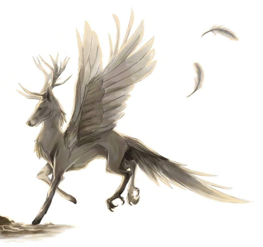 Peryton gây ám ảnh kinh hoàng bởi thói quen móc trái tim ra khỏi ngực nạn nhân khi nó vẫn còn đập rồi ăn chúng.