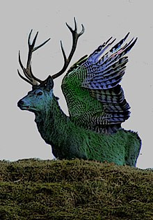 Peryton là sinh vật lai nửa hươu nửa chim. Trên đầu của nó có chiếc sừng hươu và có đôi cánh to lớn của loài chim.