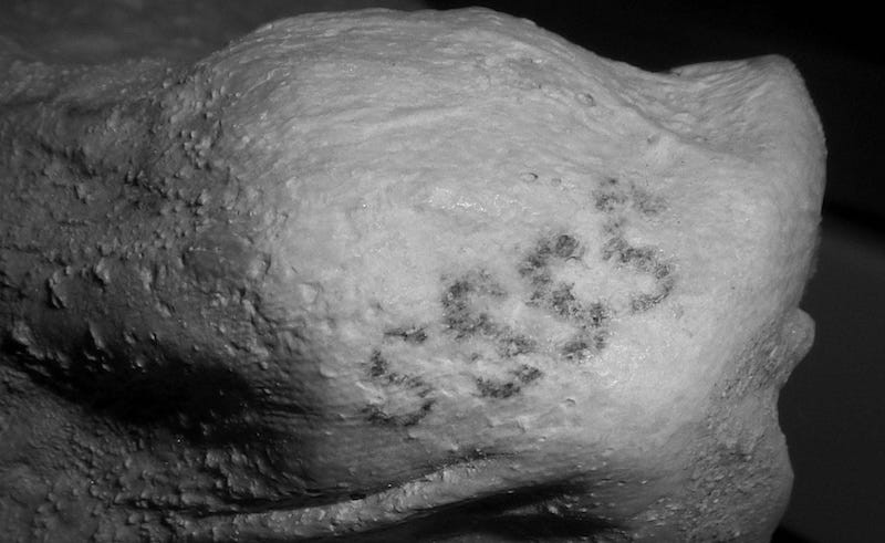 Trong số này, nổi bật là xác ướp một phụ nữ Ai Cập có niên đại khoảng 3.000 năm tuổi.